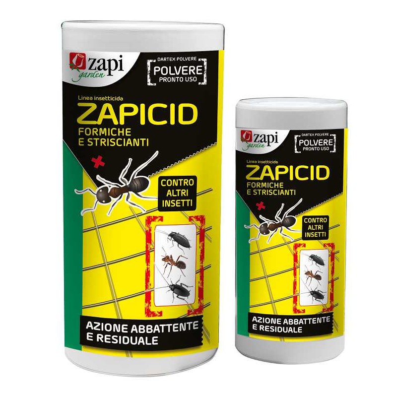 Buy ZAPICID POLVERE FORMICHE INSETTICIDA PRONTA ALL’USO 250g 
