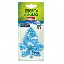 FRESCA FOGLIA ANTITABACCO - DEODORANTE IN CARTONFELTRO AREXONS - Deodorante per auto in cartonfeltro regolato tramite la superf