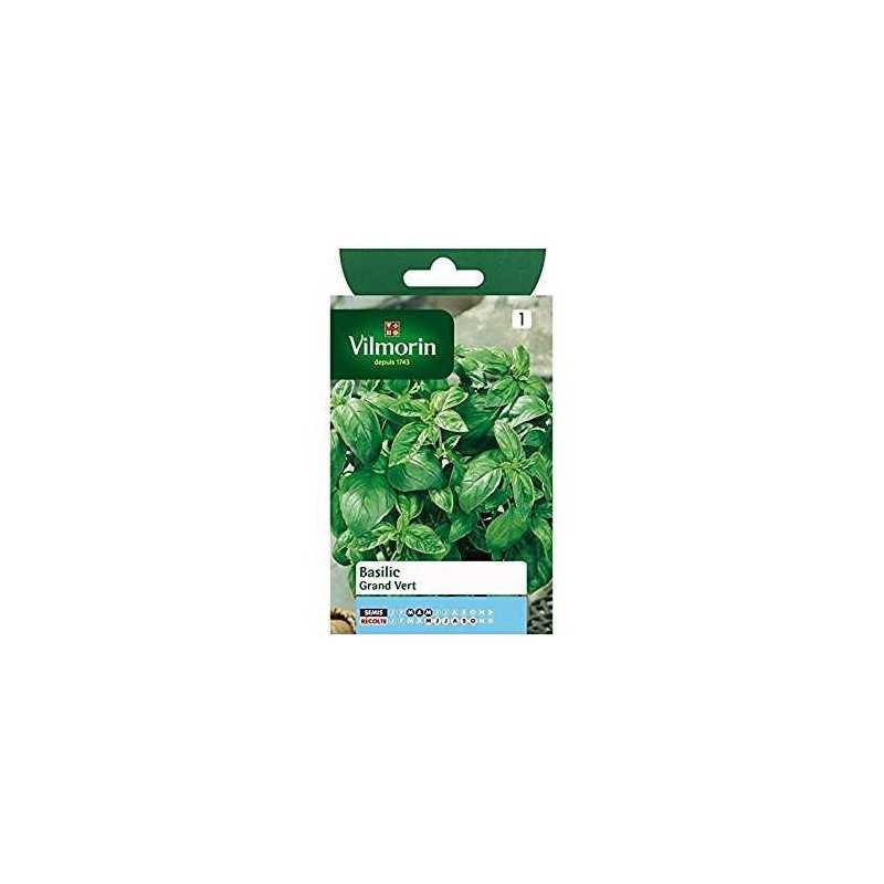 Buy BASILICO ITALIANO SUNFLOWER (SEMENTI ORTO) 