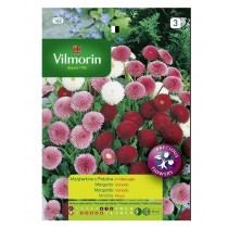 MARGHERITINE O PRATOLINE IN MISCUGLIO S3 V 162 Vilmorin Vilmorin - 