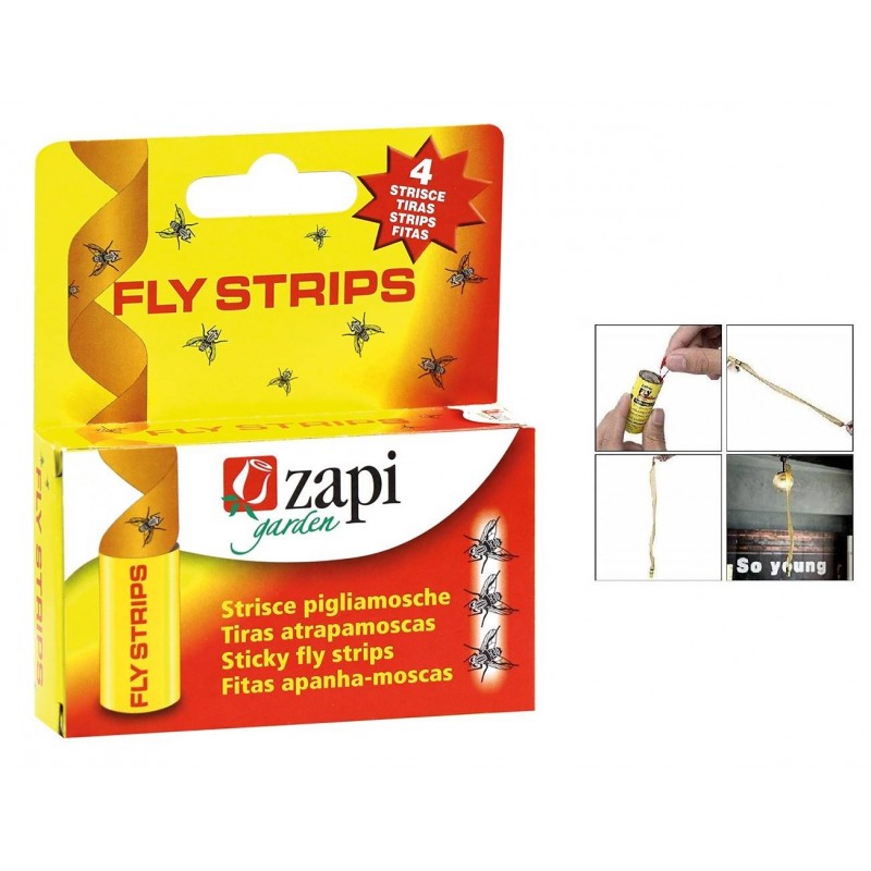 Buy ACCHIAPPAMOSCHE trappola adesiva per insetti volanti 4 PZ 