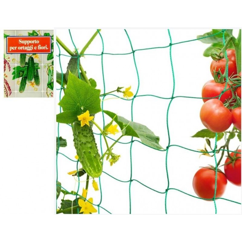 Buy Rete sostengreen per piante rampicanti 2,0x10mt 