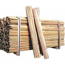 CANNA BAMBOO Ø 22-24   H 210cm   - 
