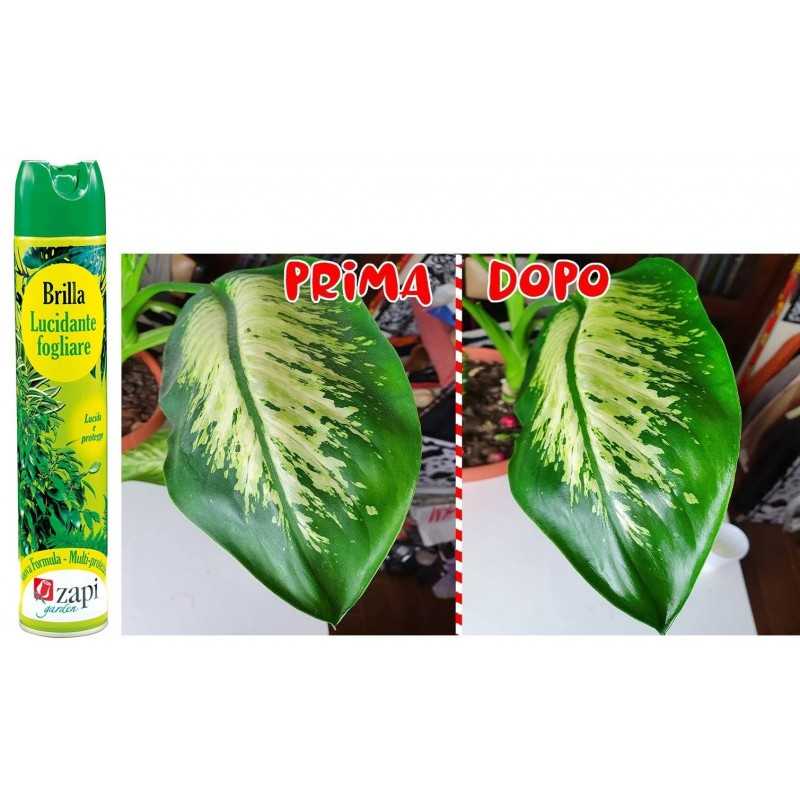 Buy Lucidante fogliare spray  Brilla Zapi 500ml 