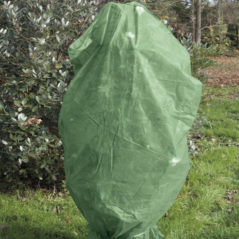 Buy Cappuccio in tessuto protezione piante antigelo traspirante Verde cm 100x150 2 pezzi 
