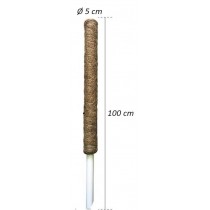 Buy Tutore bastone muschiato con fibra di cocco per piante rampicanti Ø 5 cm, altezza 100 cm 