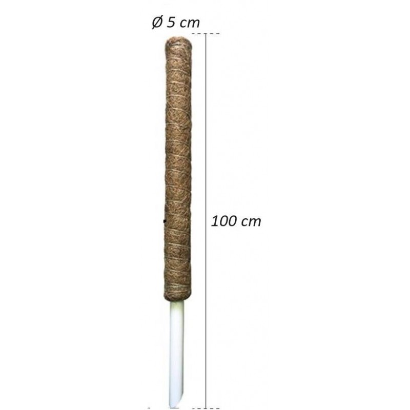 Buy Tutore bastone muschiato con fibra di cocco per piante rampicanti Ø 5 cm, altezza 100 cm 