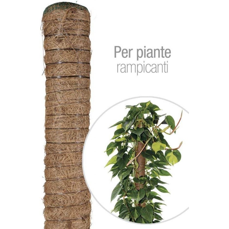 Buy Tutore bastone muschiato con fibra di cocco per piante rampicanti Ø 5 cm, altezza 120 cm 