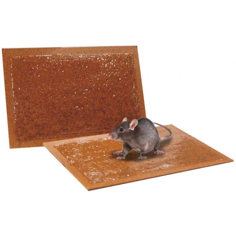 Buy Colla adesivo per trappole su cartone per la cattura di topi e ratti Zapicol 135g 