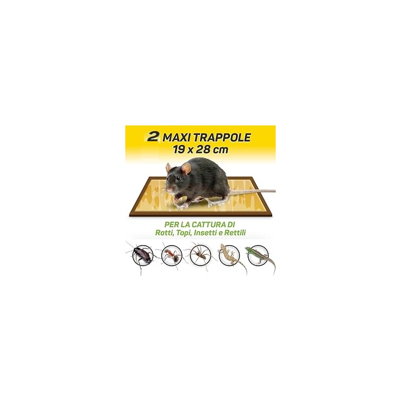 Buy Trappola adesiva per catturare topi di media e grande taglia Kolrat Tablet 19x28 cm,  conf. da 2 pezzi 