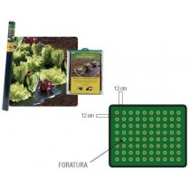 Telo pacciamatura forata per CIPOLLE e INSALATA 1,2x50mt - Film pacciamatura preforata per cipolle e insalata, ideale per dife