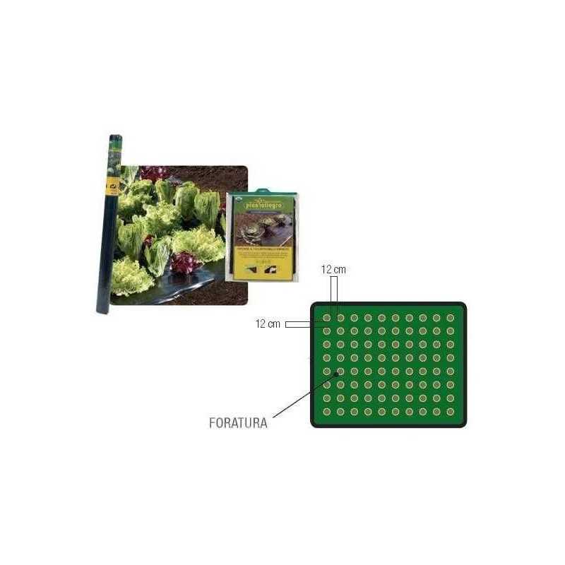 Telo pacciamatura forata per CIPOLLE e INSALATA 1,2x50mt - Film pacciamatura preforata per cipolle e insalata, ideale per dife Telo pacciamatura forata per CIPOLLE e INSALATA 1,2x50mt - Film pacciamatura preforata per cipolle e insalata, ideale per dife