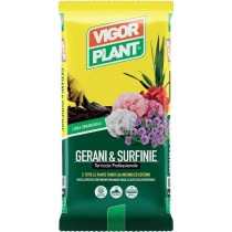 Terriccio VigorPlant Gerani  20 lt VIGORPLANT ITALIA  - Terriccio indicato per la coltivazione di tutti i tipi di geranio e stud