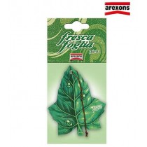 FRESCA FOGLIA PINO AREXONS - 