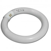 Lampada neon circolina fluorescente trifosforo 22 Watt - 