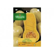 VILMORIN ZUCCA - 