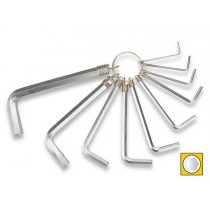 SET 10 CHIAVI A BRUGOLA FERVI - 