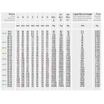 Buy GOLFARE FEMMINA ACCIAIO ZINCATO DIN580 M6 