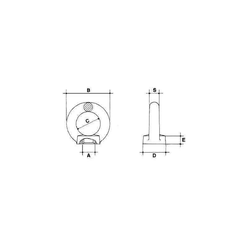 Buy GOLFARE FEMMINA DIN580 ACCIAIO INOX AISI 316 M6 