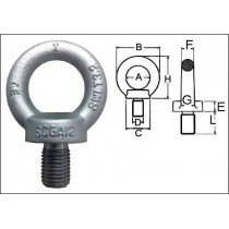 GOLFARE MASCHIO DIN580 ACCIAIO INOX AISI 316 M10 STAMPERIA CARCANO - 