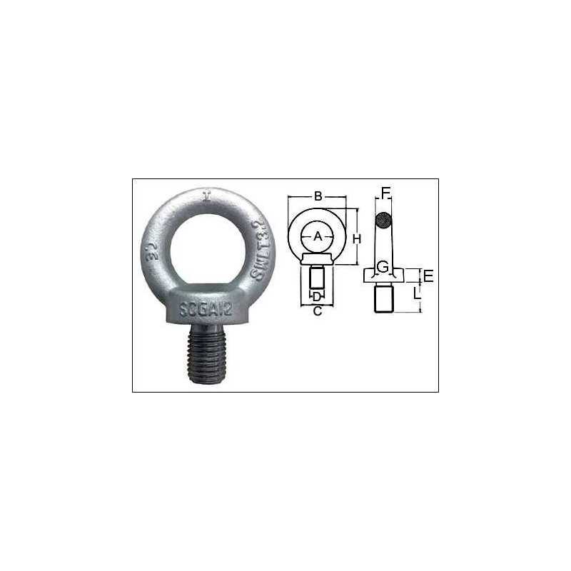 Buy GOLFARE MASCHIO DIN580 ACCIAIO INOX AISI 316 M10 