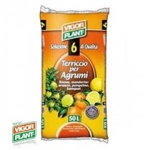 Terriccio per agrumi 20lt VIGORPLANT ITALIA - Terriccio formulato per soddisfare le particolari esigenze degli agrumi che richi